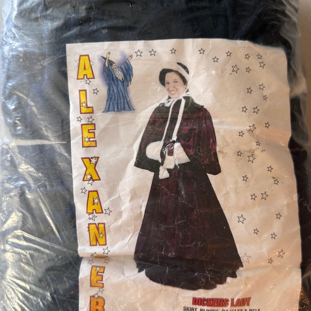 Dickens Lady Costume - Black and White